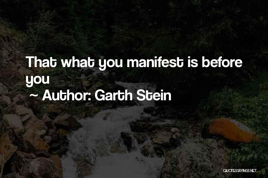 Garth Stein Quotes: That What You Manifest Is Before You