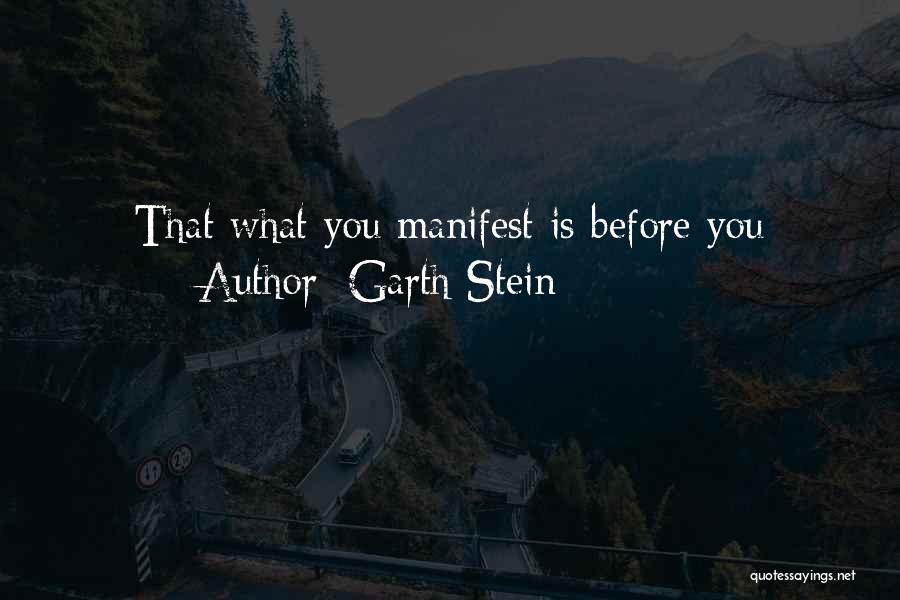Garth Stein Quotes: That What You Manifest Is Before You