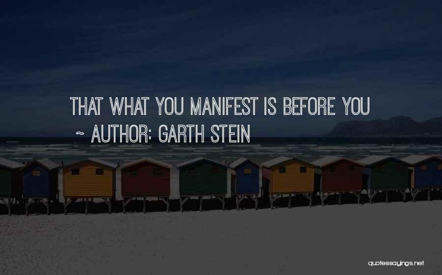 Garth Stein Quotes: That What You Manifest Is Before You