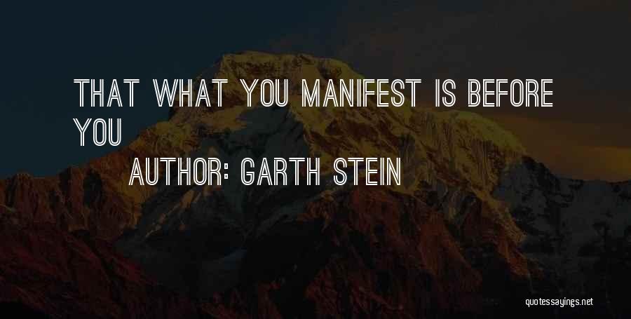 Garth Stein Quotes: That What You Manifest Is Before You