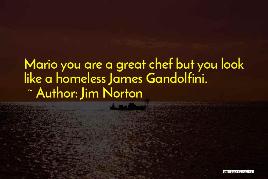 Jim Norton Quotes: Mario You Are A Great Chef But You Look Like A Homeless James Gandolfini.