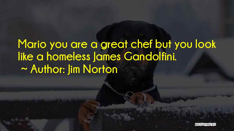 Jim Norton Quotes: Mario You Are A Great Chef But You Look Like A Homeless James Gandolfini.