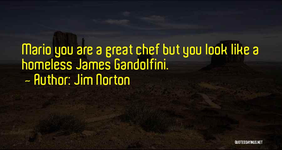 Jim Norton Quotes: Mario You Are A Great Chef But You Look Like A Homeless James Gandolfini.