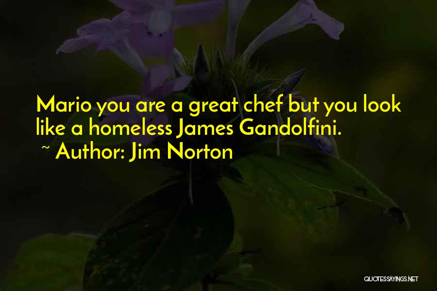 Jim Norton Quotes: Mario You Are A Great Chef But You Look Like A Homeless James Gandolfini.