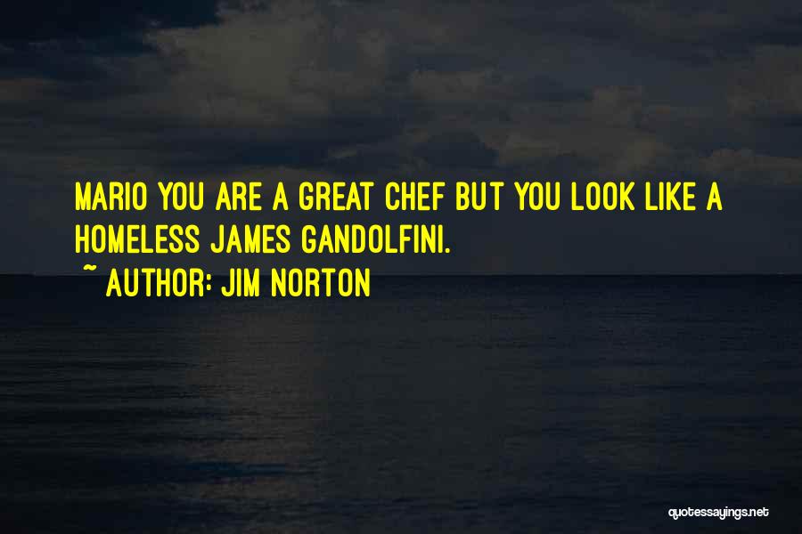 Jim Norton Quotes: Mario You Are A Great Chef But You Look Like A Homeless James Gandolfini.