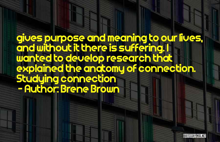 Brene Brown Quotes: Gives Purpose And Meaning To Our Lives, And Without It There Is Suffering. I Wanted To Develop Research That Explained