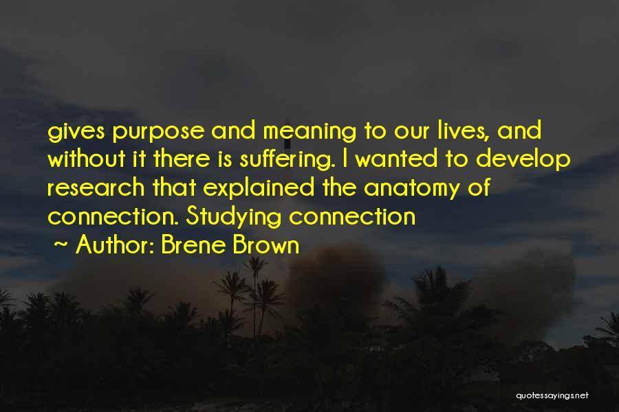 Brene Brown Quotes: Gives Purpose And Meaning To Our Lives, And Without It There Is Suffering. I Wanted To Develop Research That Explained