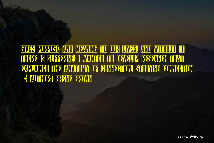 Brene Brown Quotes: Gives Purpose And Meaning To Our Lives, And Without It There Is Suffering. I Wanted To Develop Research That Explained