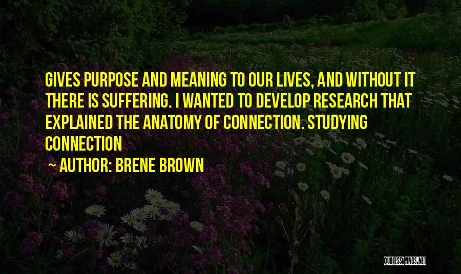 Brene Brown Quotes: Gives Purpose And Meaning To Our Lives, And Without It There Is Suffering. I Wanted To Develop Research That Explained