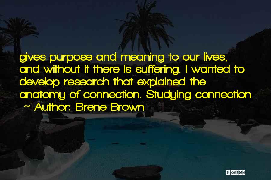 Brene Brown Quotes: Gives Purpose And Meaning To Our Lives, And Without It There Is Suffering. I Wanted To Develop Research That Explained