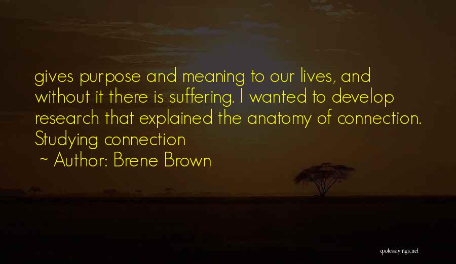 Brene Brown Quotes: Gives Purpose And Meaning To Our Lives, And Without It There Is Suffering. I Wanted To Develop Research That Explained