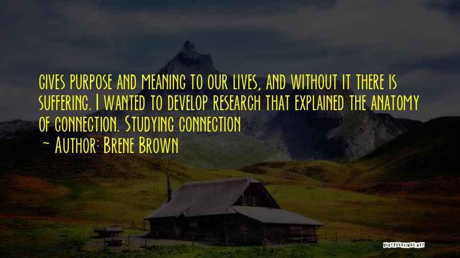 Brene Brown Quotes: Gives Purpose And Meaning To Our Lives, And Without It There Is Suffering. I Wanted To Develop Research That Explained