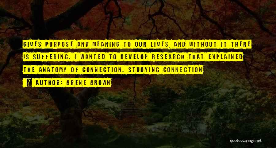 Brene Brown Quotes: Gives Purpose And Meaning To Our Lives, And Without It There Is Suffering. I Wanted To Develop Research That Explained