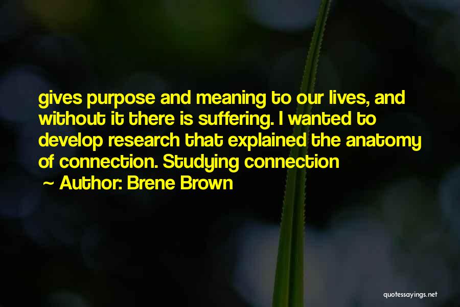 Brene Brown Quotes: Gives Purpose And Meaning To Our Lives, And Without It There Is Suffering. I Wanted To Develop Research That Explained