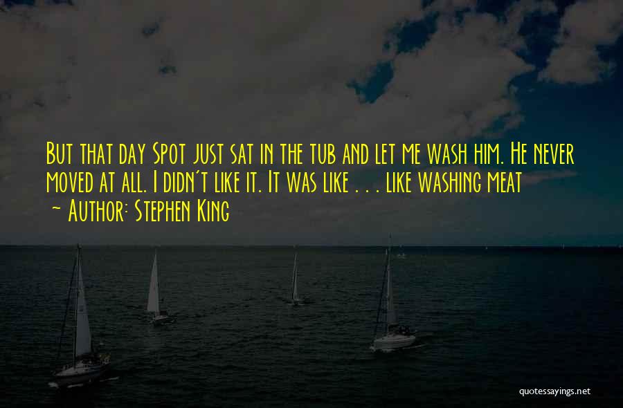 Stephen King Quotes: But That Day Spot Just Sat In The Tub And Let Me Wash Him. He Never Moved At All. I