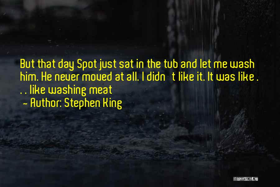 Stephen King Quotes: But That Day Spot Just Sat In The Tub And Let Me Wash Him. He Never Moved At All. I