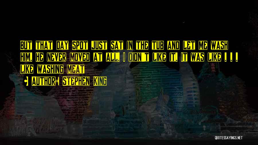 Stephen King Quotes: But That Day Spot Just Sat In The Tub And Let Me Wash Him. He Never Moved At All. I