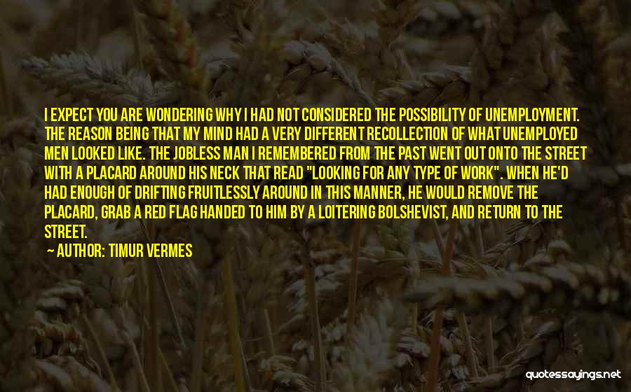 Timur Vermes Quotes: I Expect You Are Wondering Why I Had Not Considered The Possibility Of Unemployment. The Reason Being That My Mind