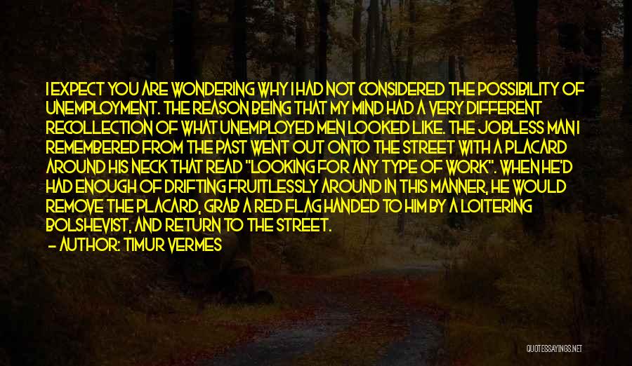 Timur Vermes Quotes: I Expect You Are Wondering Why I Had Not Considered The Possibility Of Unemployment. The Reason Being That My Mind