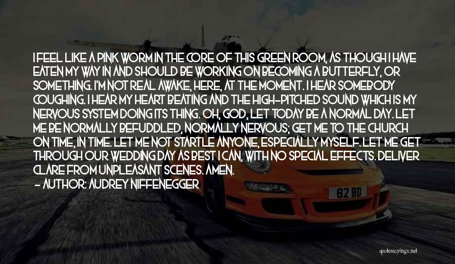 Audrey Niffenegger Quotes: I Feel Like A Pink Worm In The Core Of This Green Room, As Though I Have Eaten My Way