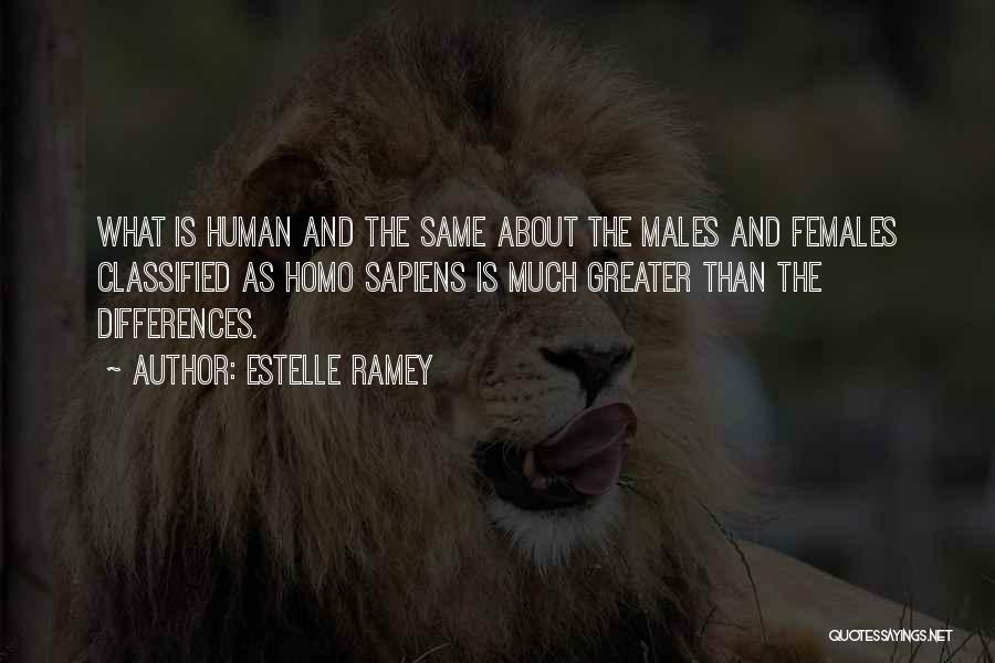 Estelle Ramey Quotes: What Is Human And The Same About The Males And Females Classified As Homo Sapiens Is Much Greater Than The