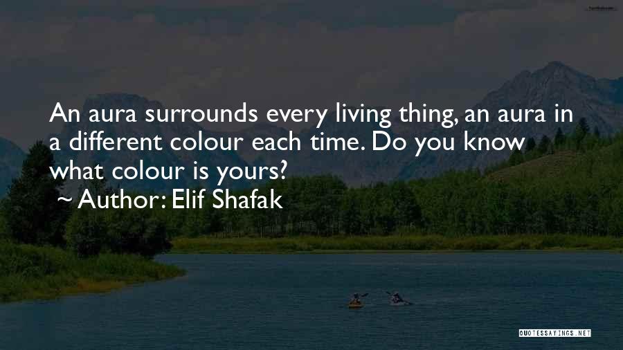 29642 Hourly Weather Quotes By Elif Shafak