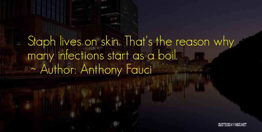 Anthony Fauci Quotes: Staph Lives On Skin. That's The Reason Why Many Infections Start As A Boil.