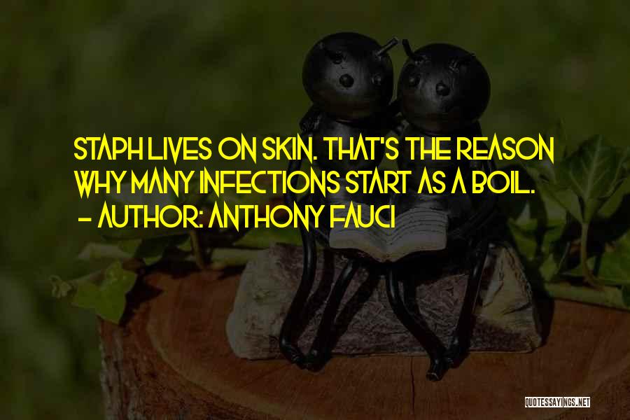 Anthony Fauci Quotes: Staph Lives On Skin. That's The Reason Why Many Infections Start As A Boil.