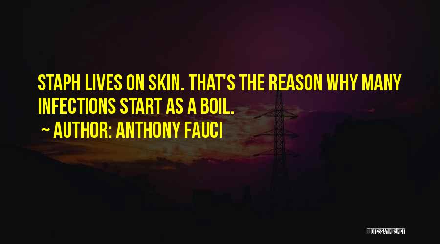 Anthony Fauci Quotes: Staph Lives On Skin. That's The Reason Why Many Infections Start As A Boil.