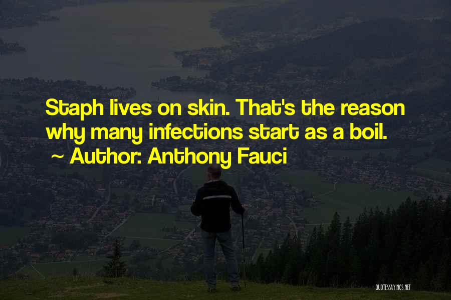 Anthony Fauci Quotes: Staph Lives On Skin. That's The Reason Why Many Infections Start As A Boil.