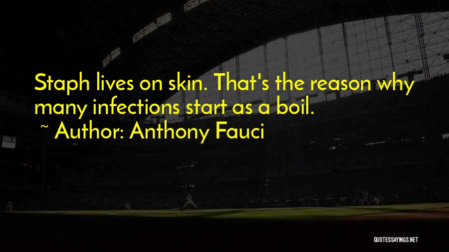 Anthony Fauci Quotes: Staph Lives On Skin. That's The Reason Why Many Infections Start As A Boil.
