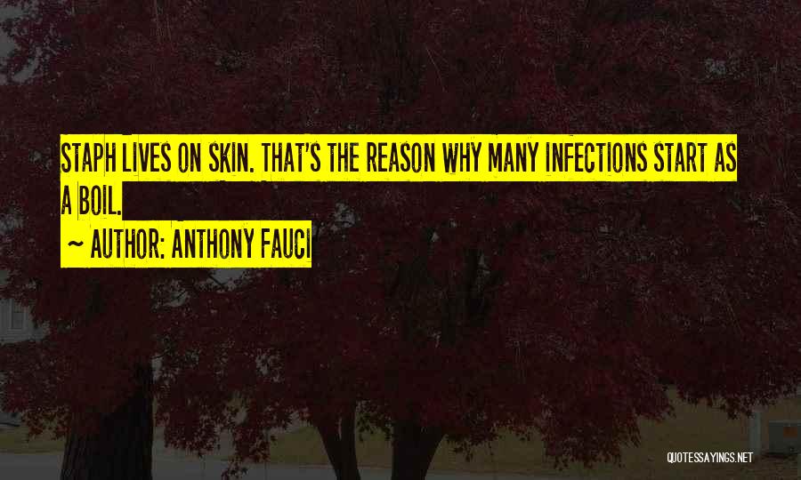 Anthony Fauci Quotes: Staph Lives On Skin. That's The Reason Why Many Infections Start As A Boil.