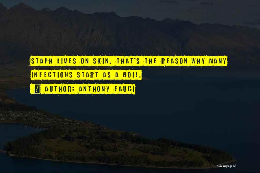 Anthony Fauci Quotes: Staph Lives On Skin. That's The Reason Why Many Infections Start As A Boil.