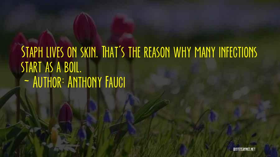 Anthony Fauci Quotes: Staph Lives On Skin. That's The Reason Why Many Infections Start As A Boil.