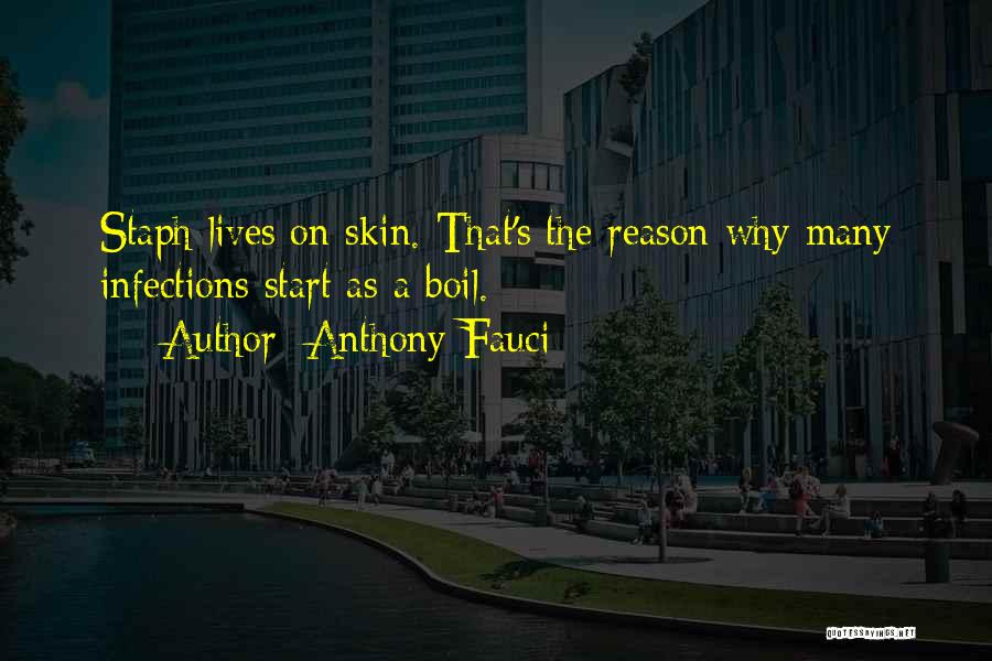 Anthony Fauci Quotes: Staph Lives On Skin. That's The Reason Why Many Infections Start As A Boil.