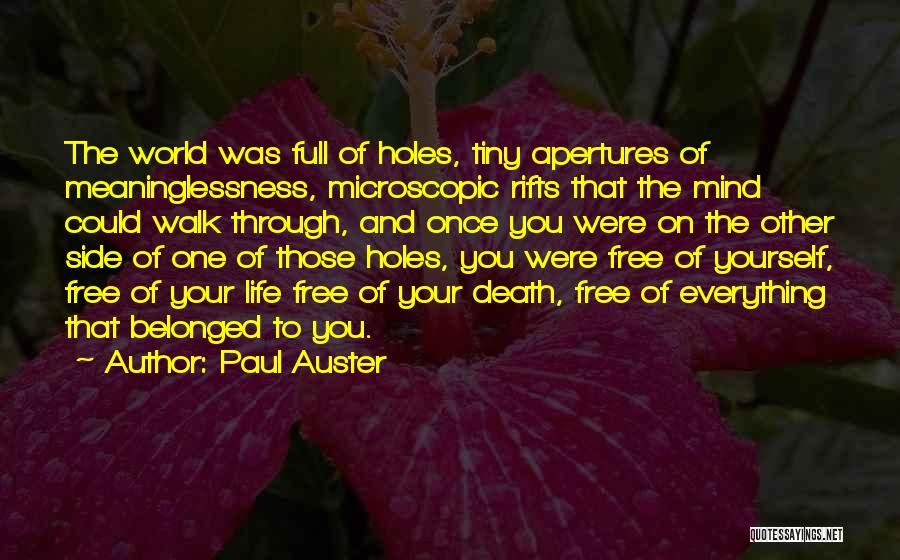 Paul Auster Quotes: The World Was Full Of Holes, Tiny Apertures Of Meaninglessness, Microscopic Rifts That The Mind Could Walk Through, And Once