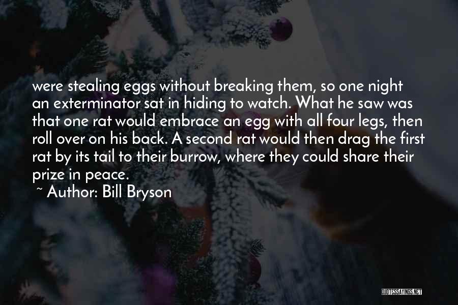 Bill Bryson Quotes: Were Stealing Eggs Without Breaking Them, So One Night An Exterminator Sat In Hiding To Watch. What He Saw Was