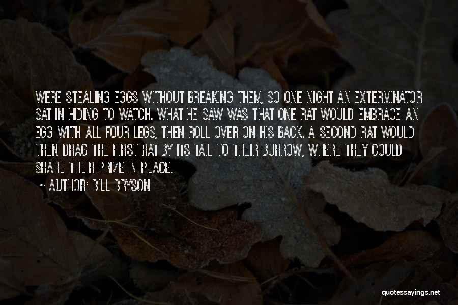 Bill Bryson Quotes: Were Stealing Eggs Without Breaking Them, So One Night An Exterminator Sat In Hiding To Watch. What He Saw Was