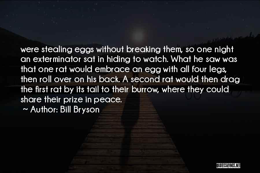 Bill Bryson Quotes: Were Stealing Eggs Without Breaking Them, So One Night An Exterminator Sat In Hiding To Watch. What He Saw Was