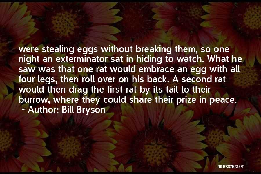 Bill Bryson Quotes: Were Stealing Eggs Without Breaking Them, So One Night An Exterminator Sat In Hiding To Watch. What He Saw Was