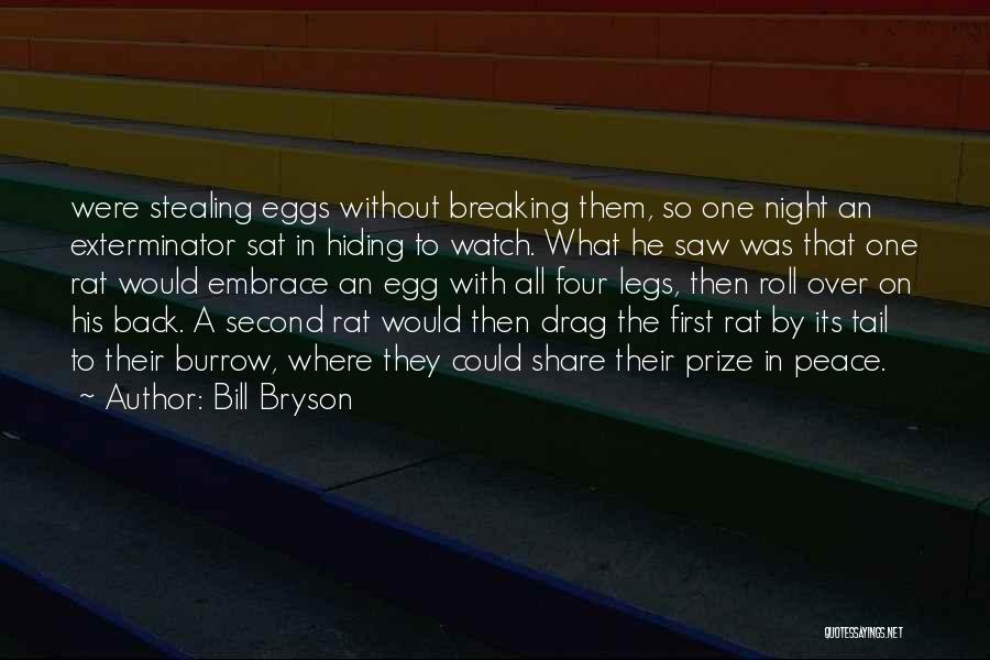 Bill Bryson Quotes: Were Stealing Eggs Without Breaking Them, So One Night An Exterminator Sat In Hiding To Watch. What He Saw Was