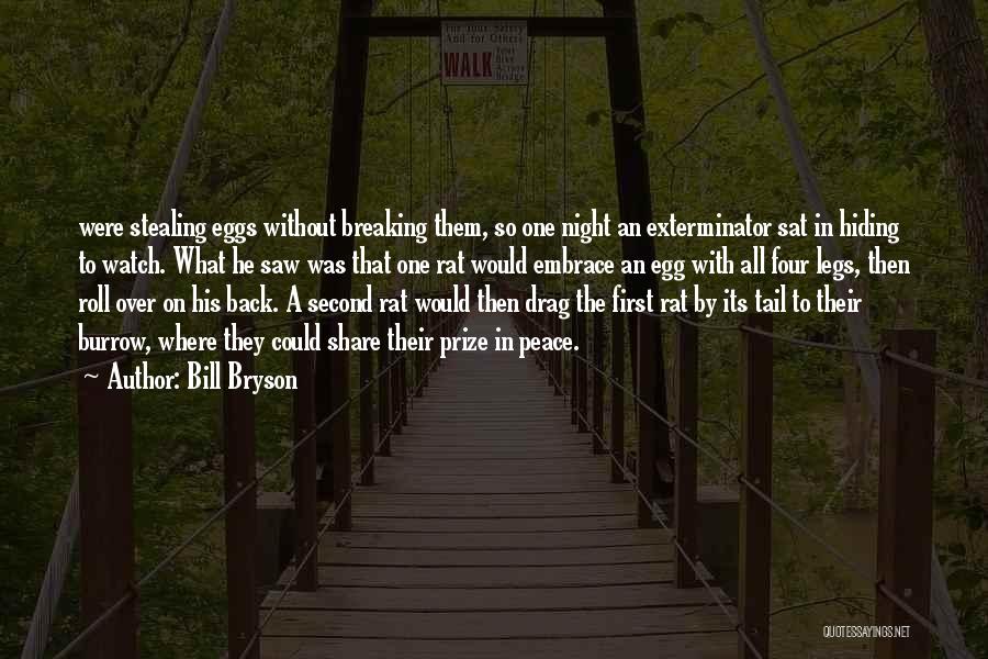 Bill Bryson Quotes: Were Stealing Eggs Without Breaking Them, So One Night An Exterminator Sat In Hiding To Watch. What He Saw Was