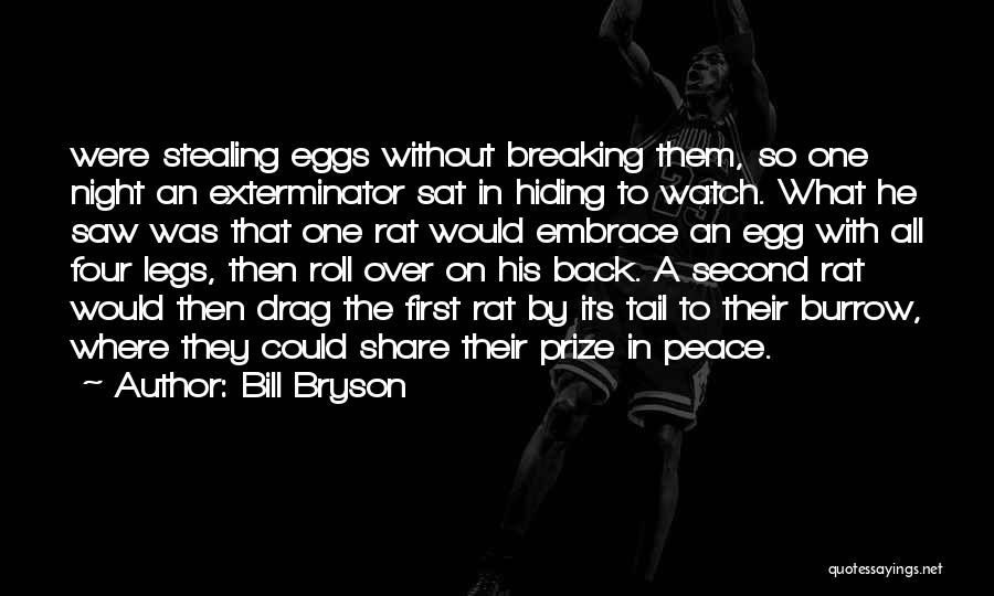 Bill Bryson Quotes: Were Stealing Eggs Without Breaking Them, So One Night An Exterminator Sat In Hiding To Watch. What He Saw Was