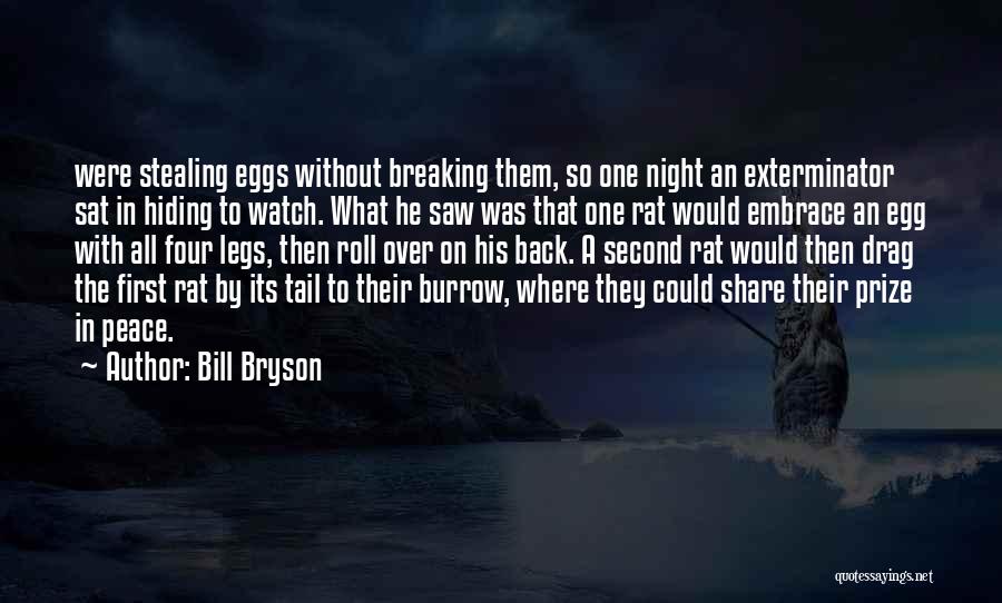 Bill Bryson Quotes: Were Stealing Eggs Without Breaking Them, So One Night An Exterminator Sat In Hiding To Watch. What He Saw Was