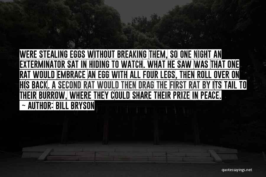 Bill Bryson Quotes: Were Stealing Eggs Without Breaking Them, So One Night An Exterminator Sat In Hiding To Watch. What He Saw Was