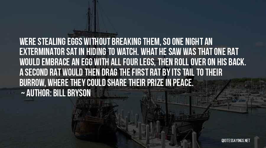 Bill Bryson Quotes: Were Stealing Eggs Without Breaking Them, So One Night An Exterminator Sat In Hiding To Watch. What He Saw Was