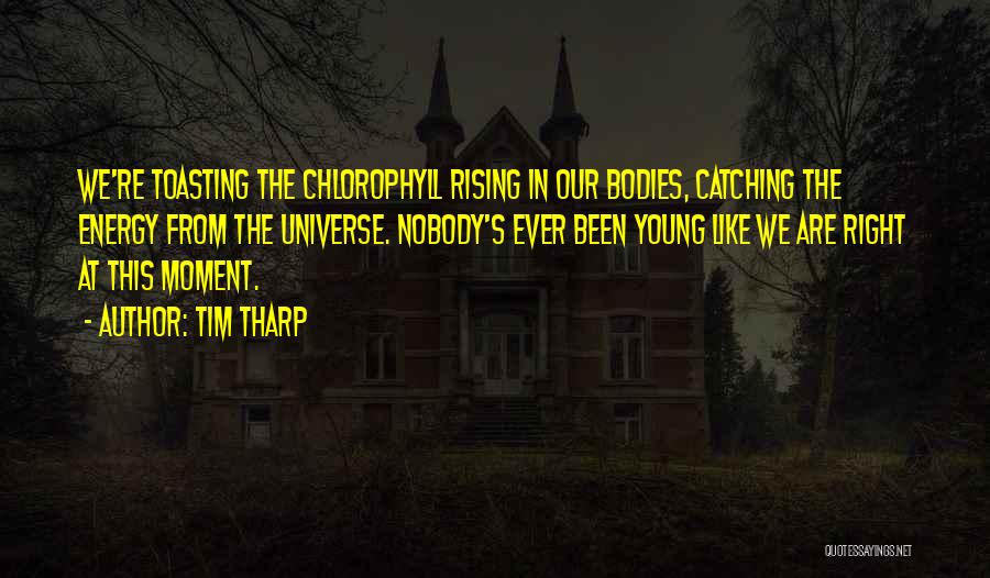 Tim Tharp Quotes: We're Toasting The Chlorophyll Rising In Our Bodies, Catching The Energy From The Universe. Nobody's Ever Been Young Like We