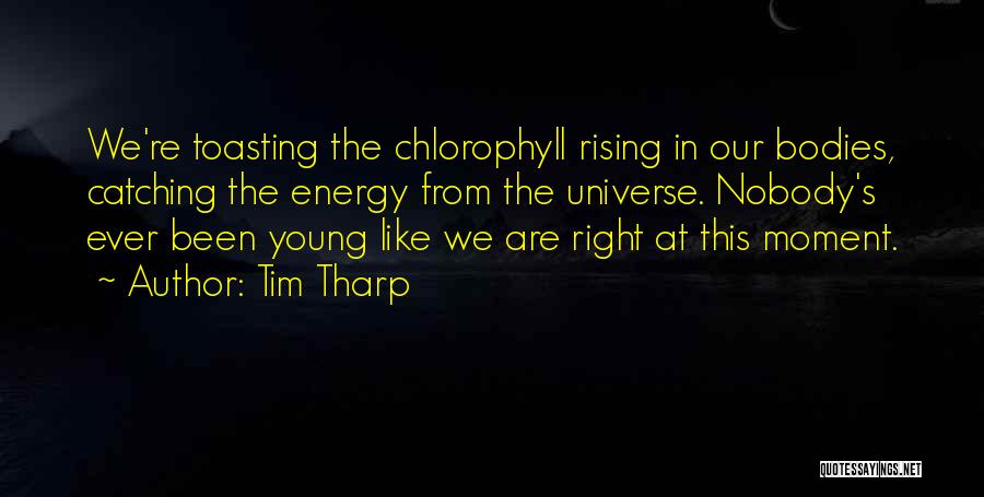 Tim Tharp Quotes: We're Toasting The Chlorophyll Rising In Our Bodies, Catching The Energy From The Universe. Nobody's Ever Been Young Like We