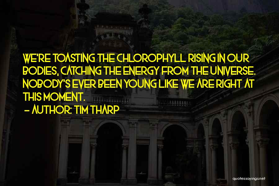 Tim Tharp Quotes: We're Toasting The Chlorophyll Rising In Our Bodies, Catching The Energy From The Universe. Nobody's Ever Been Young Like We