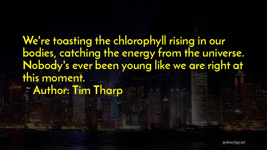 Tim Tharp Quotes: We're Toasting The Chlorophyll Rising In Our Bodies, Catching The Energy From The Universe. Nobody's Ever Been Young Like We